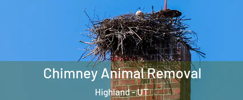 Chimney Animal Removal Highland - UT