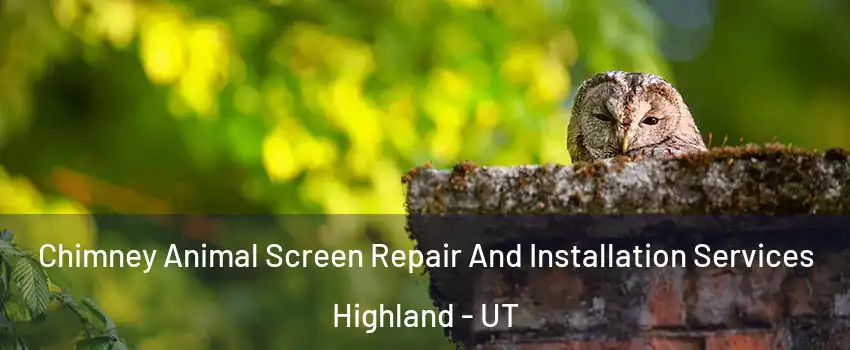  Chimney Animal Screen Repair And Installation Services Highland - UT