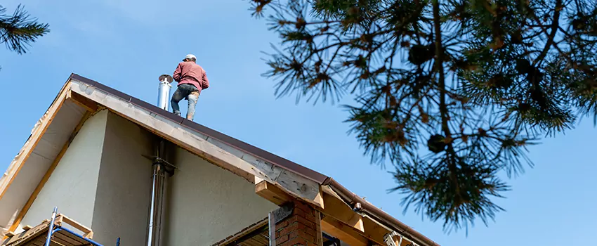 Birds Removal Contractors from Chimney in Highland, UT