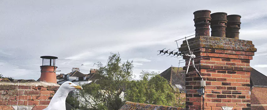 Chimney Cleaning And Restoration in Highland, Utah