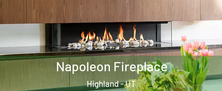  Napoleon Fireplace Highland - UT